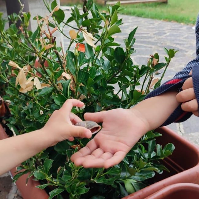 Open day Nidi e Scuole dell’Infanzia